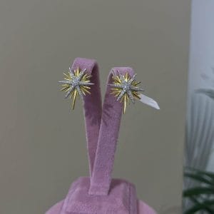 Yıldız Işık Küpe