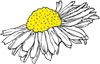 925 Ayar Gümüş