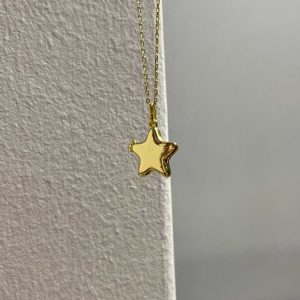 Minimal Yıldız Kapaklı Kolye